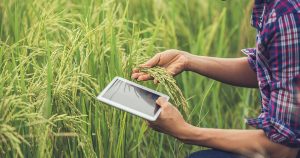 Thay đổi cách tiếp nhận thông tin của nông dân