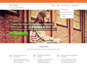 Theme wordpress đẹp miễn phí SaleJunction