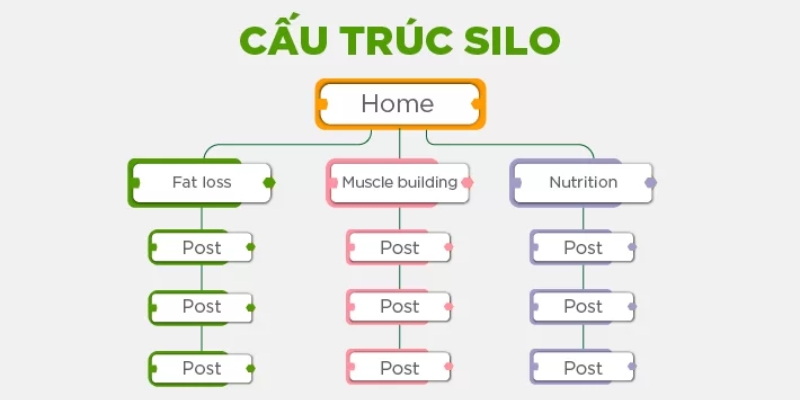 Cấu trúc Silo - Phân cấp nội dung theo chủ đề