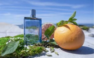 đặc trưng nước hoa mùa hè