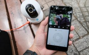 hình ảnh rõ ràng, chi tiết